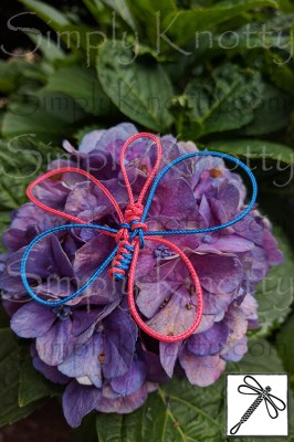 Small_Simple_Butteryfly